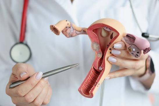 Adenomyosis & Fertility